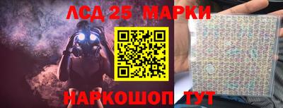 индика Заволжье