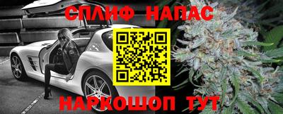 индика Заволжье