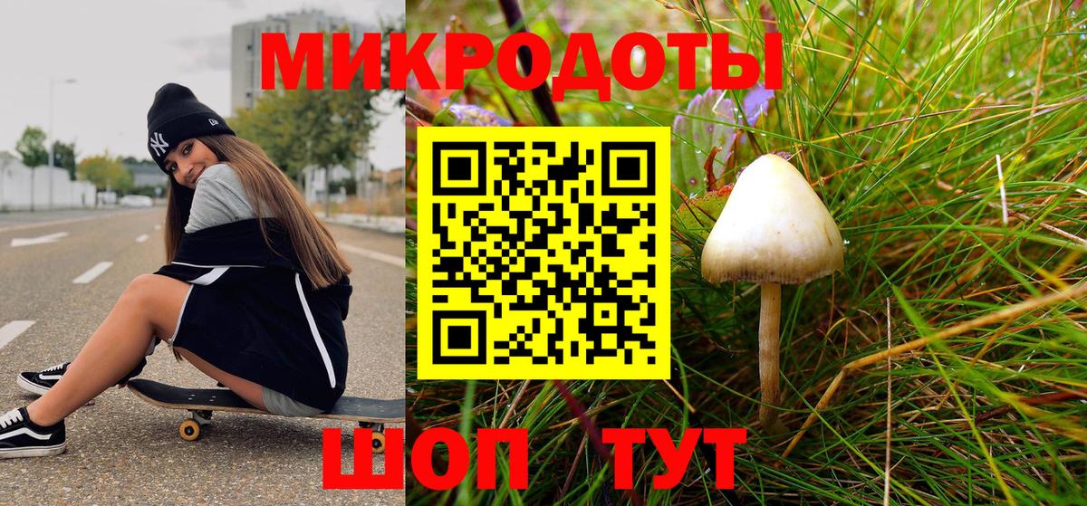 Псилоцибиновые грибы Magic Shrooms  Псилоцибиновые грибы Magic Shrooms  Междуреченск  Вход с VPN 