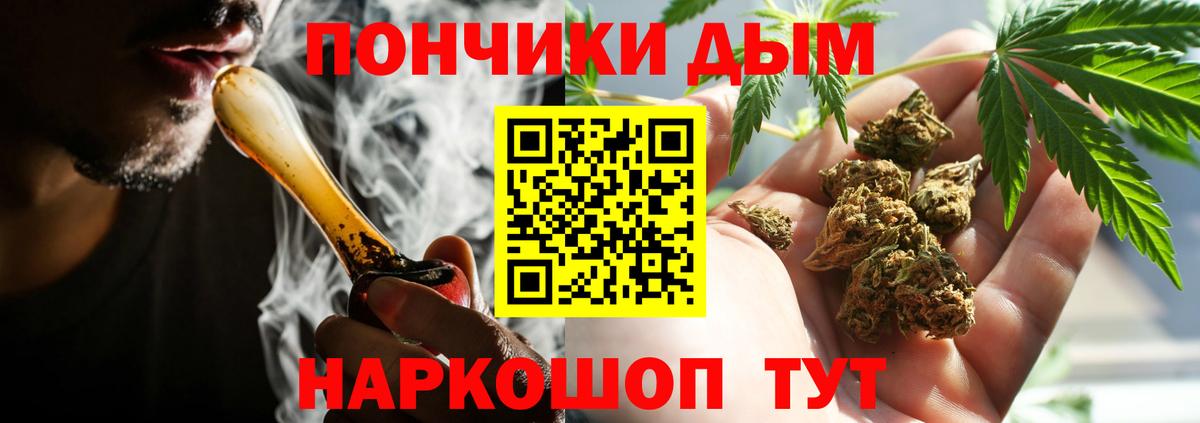Каннабис Ganja  Марихуана тримм  Междуреченск  Марихуана план  Вход с VPN  Бошки марихуана OG Kush 